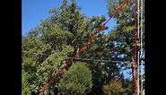 Triangulating Tree Height with an iPhone
