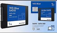 WD Blue SA510 SATA SSD Internal Storage 1TB