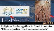 Two Blue Pills - part 11 - One World Religion
