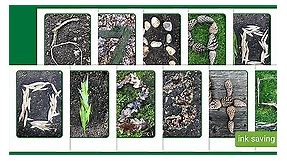 Nature-Themed Numbers 0-10 Display Posters