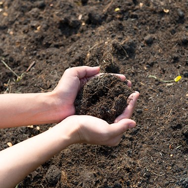 Pedogênese. Conceito de Pedogênese: a formação dos solos - Brasil Escola