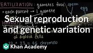 Sexual reproduction and genetic variation | Middle school biology | Khan Academy