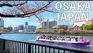 【4K】Cherry Blossoms in Osaka | JAPAN 2023