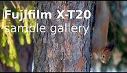 Fujifilm X-T20 sample gallery: From Summer to Winter (4K)