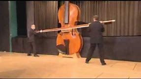 Guinness Book of World Records Presents The Largest Violin