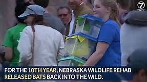 Over 300 bats released back into the wild Saturday