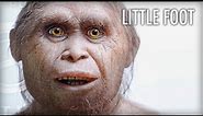 Why Homo Floresiensis May Still Be Around with Dr. Gregory Forth