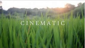4K Nature Cinematography | Cinematic Background Music NO COPYRIGHT !!! NIKON D5300
