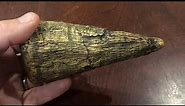 Iguanodon Dinosaur Thumb Spike | Sharp Defensive Weapon | Replica Model Casting Resin