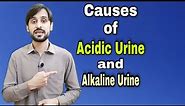 Causes of Acidic And Alkaline pH of Urine