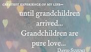 46 Grandchildren Quotes, Grandkids Bring Joy