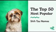 The Top 50 Most Popular Shih Tzu Names