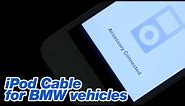 iPod Cable for BMW vehicles