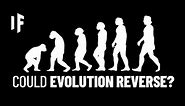 What If Humans Evolved Backward?