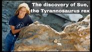 12th August 1990: Sue the Tyrannosaurus rex discovered by Susan Hendrickson