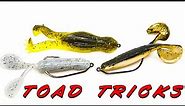 Topwater Tricks! Toad Fishing For Summer Bass!