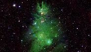'Christmas Tree Cluster' of stars dazzles from space