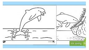 Dolphin Colouring Pages