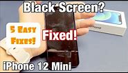 iPhone 12 Mini: Black Screen, Display Won't Turn On? 5 Easy Fixes!