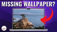 macOS Monterey's Missing Wallpaper - How to Download & Install!