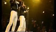 Hee Bee Gee Bees - Meaningless Songs In Very High Voices (Live in Swedish TV)