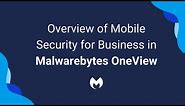 Overview of Mobile Security for Business for OneView
