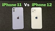 iphone 11 difference iphone 12 | iPhone 11 vs iPhone 12 difference