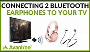 Connect 2 Earbuds to TV without Audio Lag - Avantree HT4186