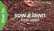 How To Sow A Lawn From Seed - EASY Steps To Grow A Lawn From Seed | Garden Ideas & Tips | Homebase
