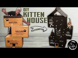 We made a Kitten House out of Cardboard box for our Kutties