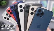 iPhone 12 Mini & Pro Max: All Colors In-Depth Comparison! Which is Best?