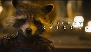 Rocket Raccoon || Guardians Of The Galaxy