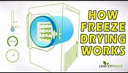 How Freeze Drying Works
