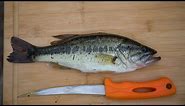 Largemouth BASS Catch and Cook