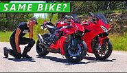 Can Beginner Riders Spot The Difference? (Superbike vs Sportbike)