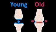 How Your Body Ages From Head to Toe | WIRED