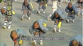 Shaolin Kung Fu BodyBuilding: flexibility and balance, basic level