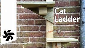 DIY Cat Ladder // Easy Woodworking Project
