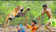 Tiger attacks on humans || Royal Bengal Tiger Attack Fun Made Movie by Man Vs Wildlife #tiger