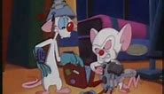 Pinky & Brain - Funny Clips