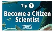 Tip 7️⃣ 🧑‍🔬 Become a Citizen Scientist 🪸 Monitor and restore critical marine habitats to advance marine research. 🫵 When have you participated in a citizen science project? #PADIAWAREWeek #awareweek #padiaware #tentipstosavetheocean #scubadiving #savetheocean #scuba #savetheocean | PADI AWARE Foundation