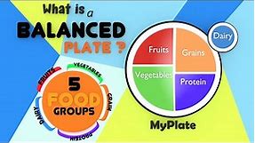 The Food Pyramid for Kids | Balanced Diet | Food Groups And Nutrition | Healthy Plate for Kids