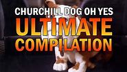 Churchill Dog Oh Yes Ultimate Compilation (epic)