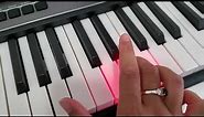 Learn Piano Fast With Portable Casio Casiotone LK S250