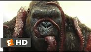 Kong: Skull Island (2017) - Kong vs. Giant Squid Scene (3/10) | Movieclips