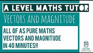 All of Vectors and Magnitude in 40 Minutes!!! | Chapter 11 | A Level Pure Maths