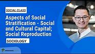 Aspects of Social Stratification – Social and Cultural Capital and Social Reproduction