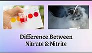 Difference Between Nitrate and Nitrite | What's the Nitrate-Nitrite Difference? Find Out Here!