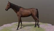 Horse standing Pose 2 - Buy Royalty Free 3D model by verena stabel (@kling)