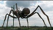 The BIGGEST ANT In The World 🐜 | Learn more about this giant insect